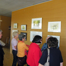 109_9176_JPG-1301351329