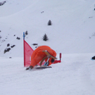 DSC03485.JPG