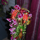 DSC_0046.JPG