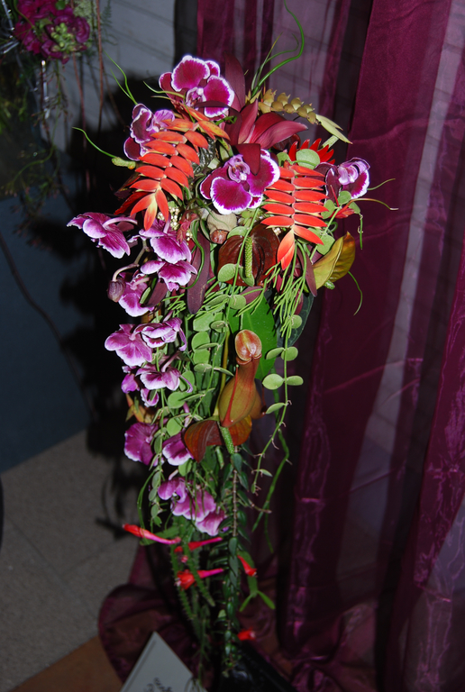 DSC_0046.JPG