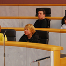 pg_mehrerau16_jpg-1301423958