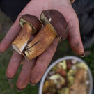 20101008MIK2582.jpg