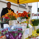 markt13_jpg-1301475422