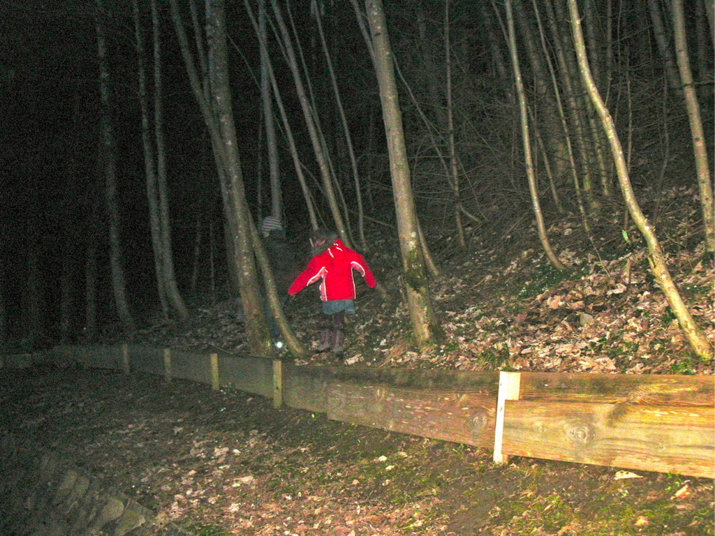 BK_kroetenwanderung2011 1_jpg-1301502832