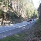 IMG_3781.jpg