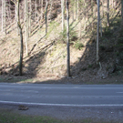 IMG_3782.jpg