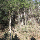 IMG_3779.jpg
