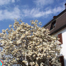Impressionen01.jpg