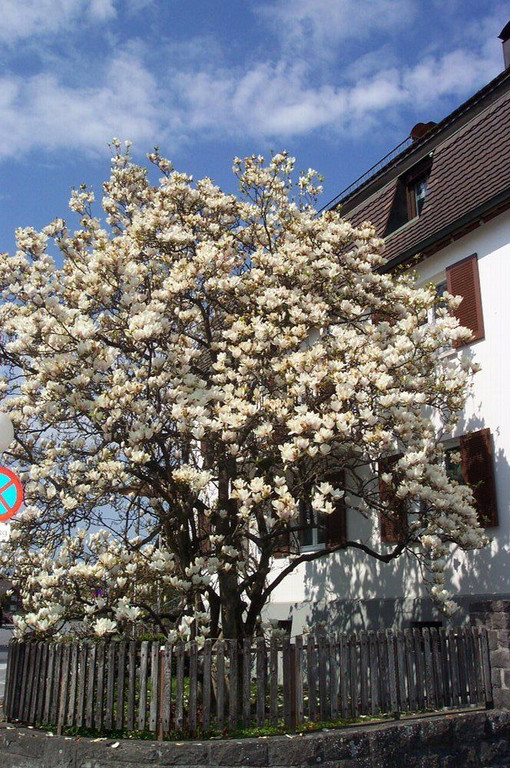 Impressionen01.jpg