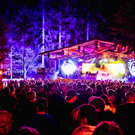 SNB10_Forest_12_.jpg