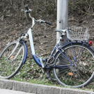 normal_31032011wtvuhaslach18.jpg