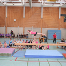 IMG_2919_jpg-1301590134
