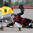 IMG_6115_jpg-1301604026