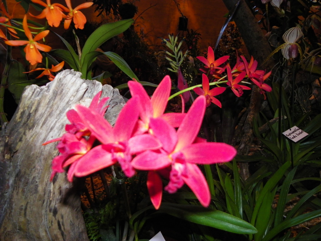 109_9336_JPG-1301606381
