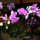 109_9351_JPG-1301606480