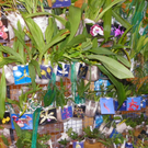 109_9377_JPG-1301606624
