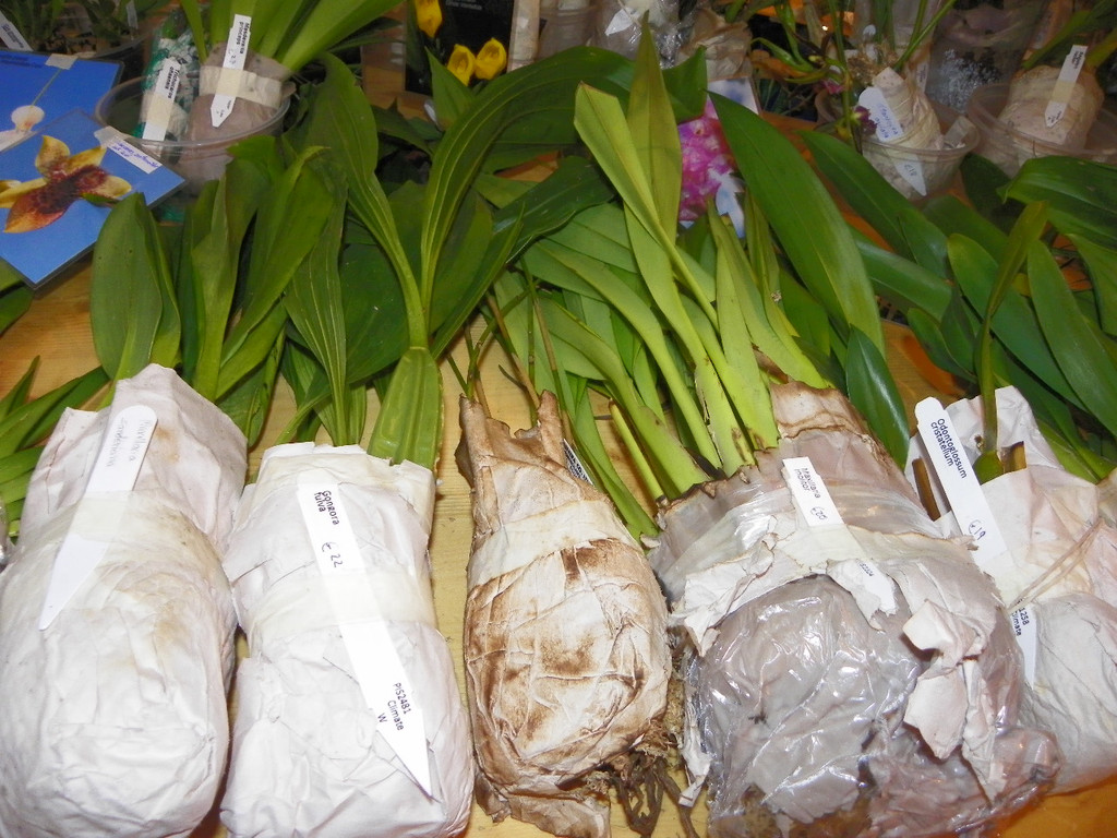 109_9378_JPG-1301606632