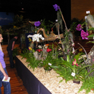 109_9332_JPG-1301607091