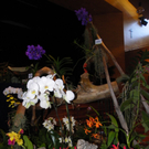 109_9334_JPG-1301607105