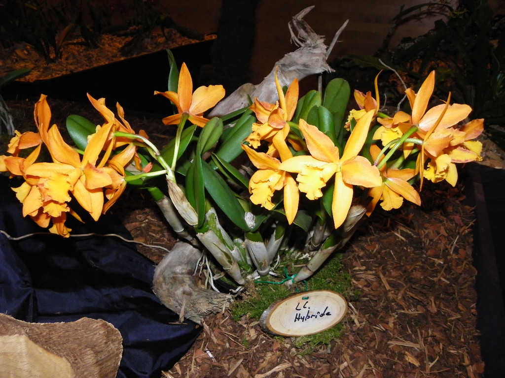 109_9345_JPG-1301607173