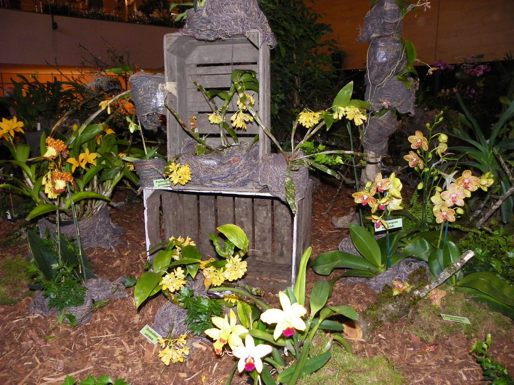 109_9349_JPG-1301607204