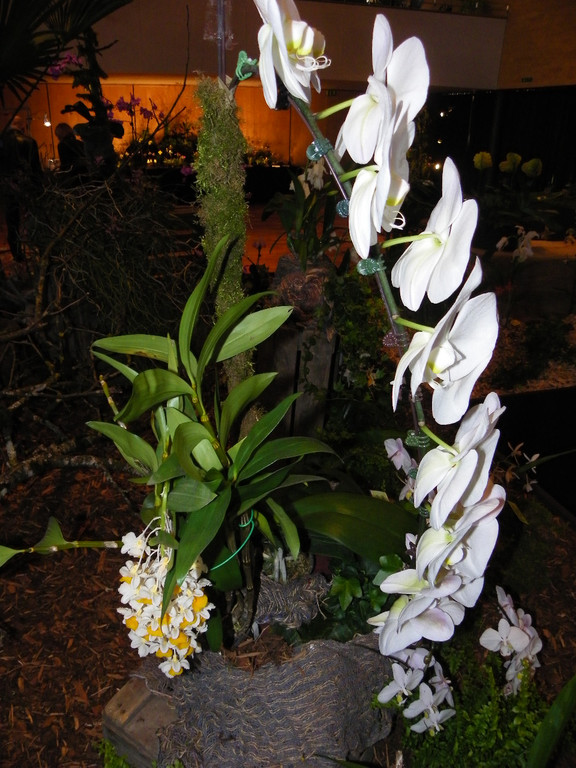 109_9350_JPG-1301607211