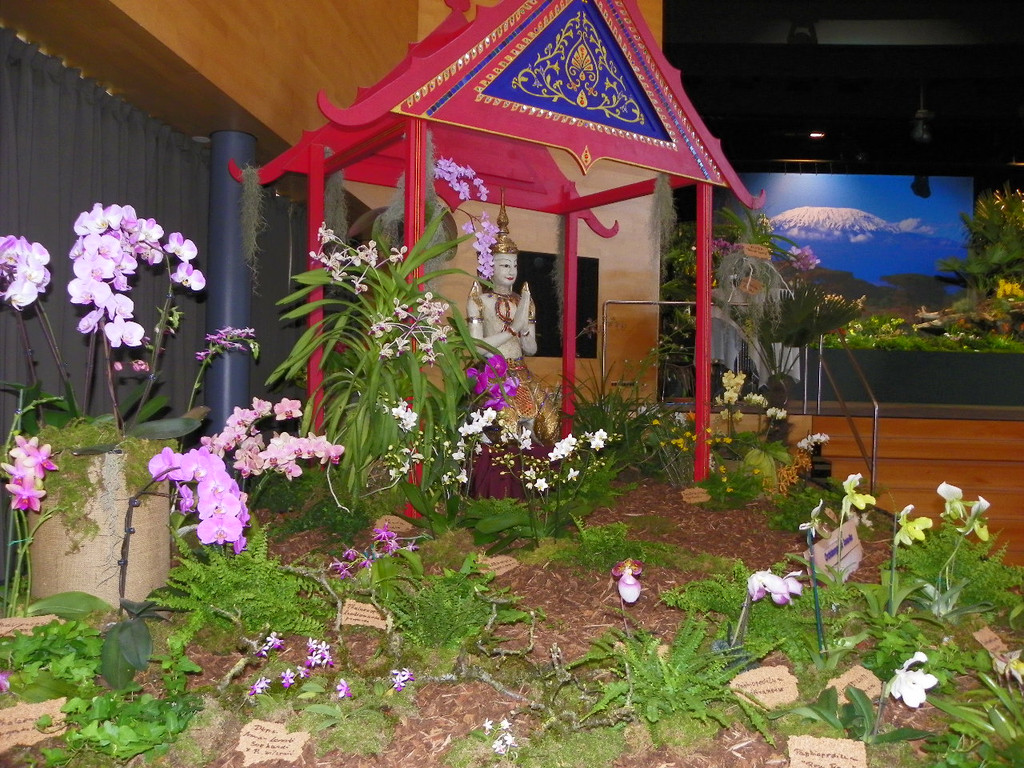 109_9354_JPG-1301607227