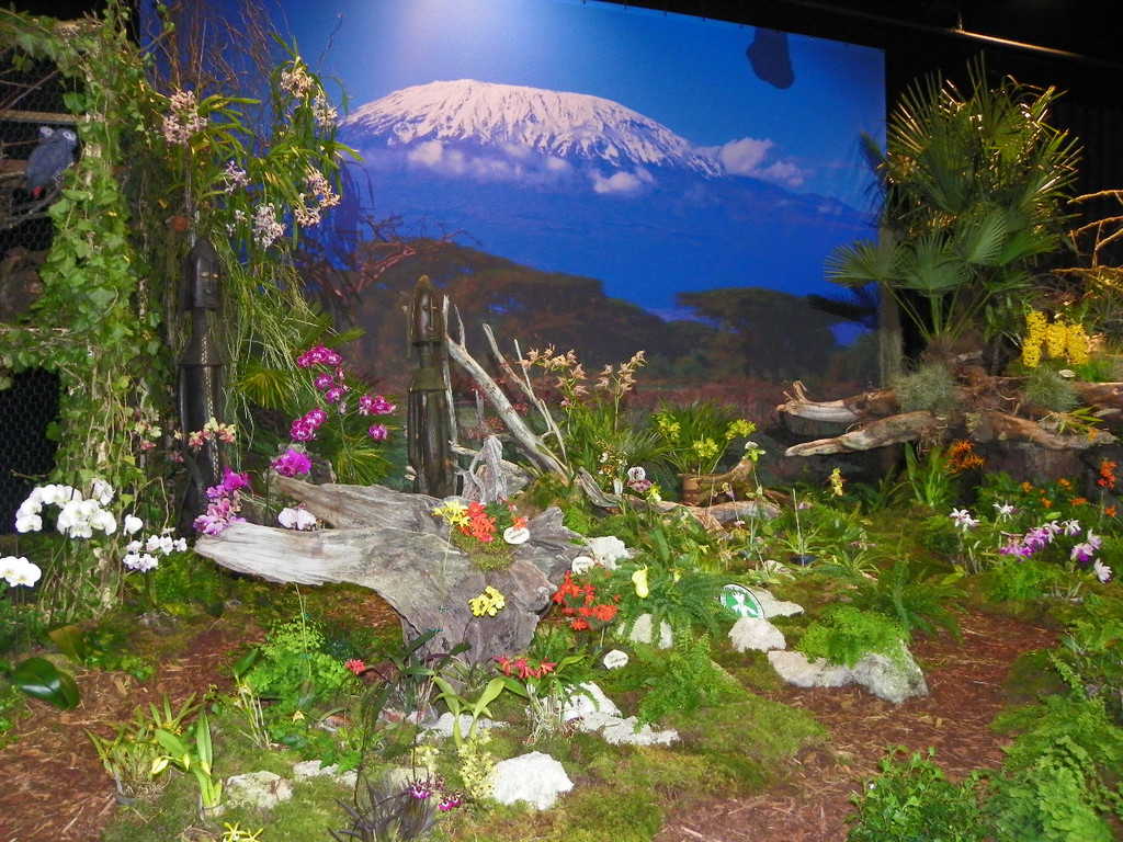 109_9357_JPG-1301607250