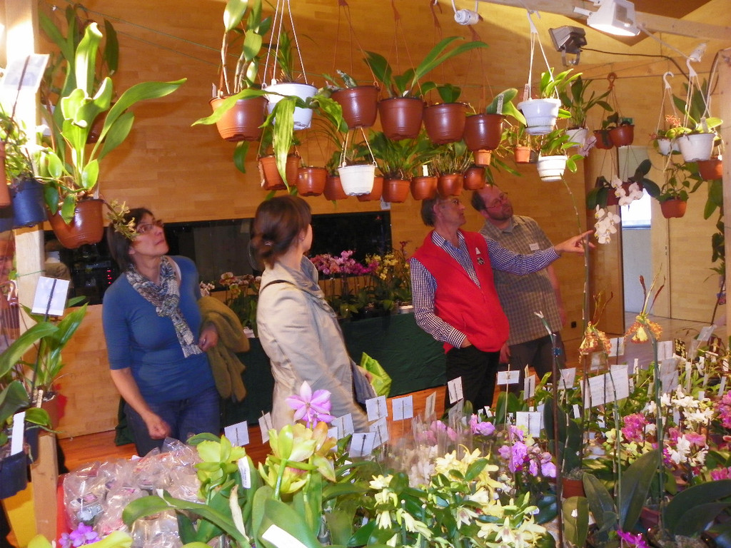 109_9374_JPG-1301607356