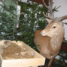 IMG_9512_JPG-1301610617