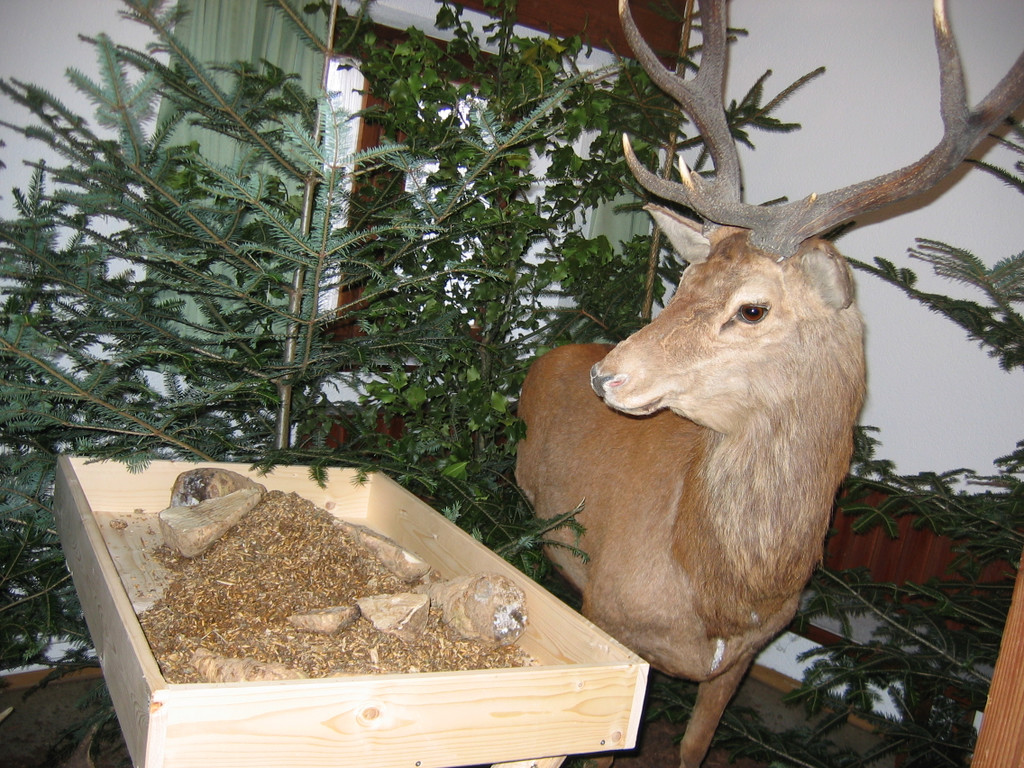 IMG_9512_JPG-1301610617
