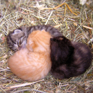 1276709_56825412.jpg