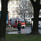 IMG_3201.JPG