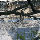 IMG_3206.JPG