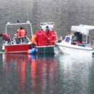 01042011achenseefibaktivnews_20_17_.jpg