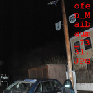 normal_01042011maibaumfibaktivnews_20_2_.jpg