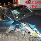 normal_01042011maibaumfibaktivnews_20_4_.jpg