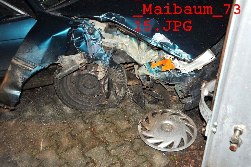 normal_01042011maibaumfibaktivnews_20_5_.jpg