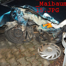 normal_01042011maibaumfibaktivnews_20_5_.jpg