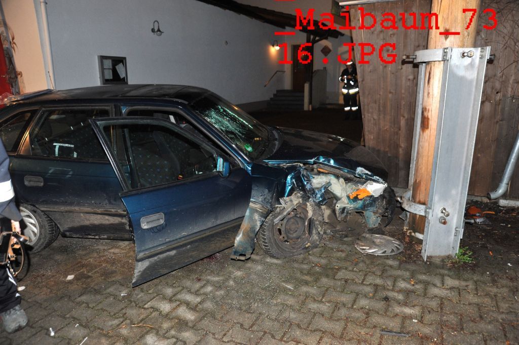 normal_01042011maibaumfibaktivnews_20_6_.jpg