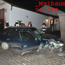 normal_01042011maibaumfibaktivnews_20_3_.jpg