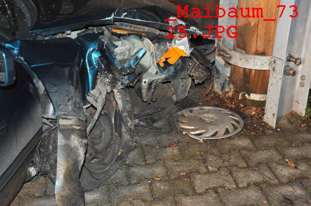 normal_01042011maibaumfibaktivnews_20_8_.jpg