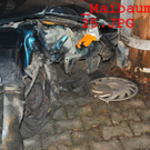 normal_01042011maibaumfibaktivnews_20_8_.jpg