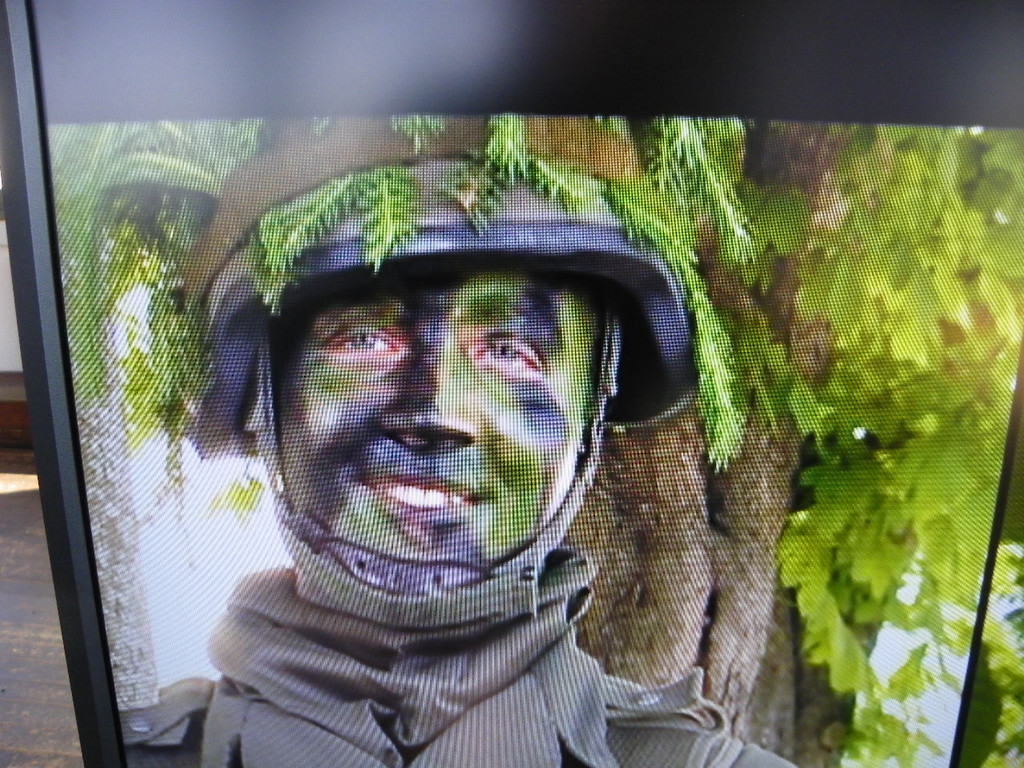 109_9039_JPG-1301790253