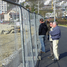 109_9125_JPG-1301791275