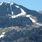 Sparvereinpreisjassen im Grünen