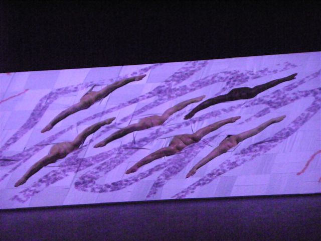 109_8556_JPG-1301823027