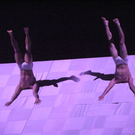 109_8569_JPG-1301823033