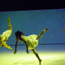 109_8423_JPG-1301823068