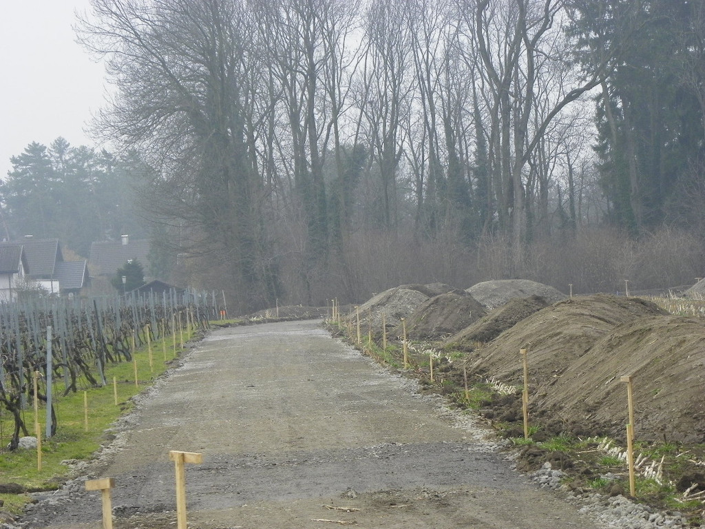 109_5923_JPG-1301834135